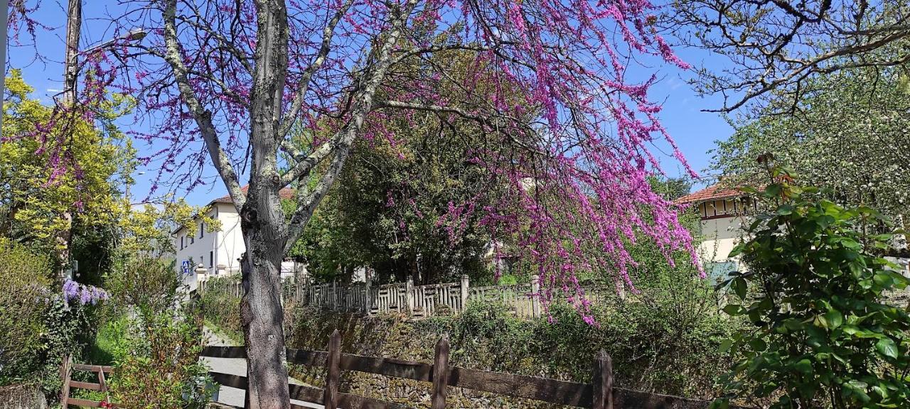 Maison Au Pied De La Montagne Aspet 외부 사진