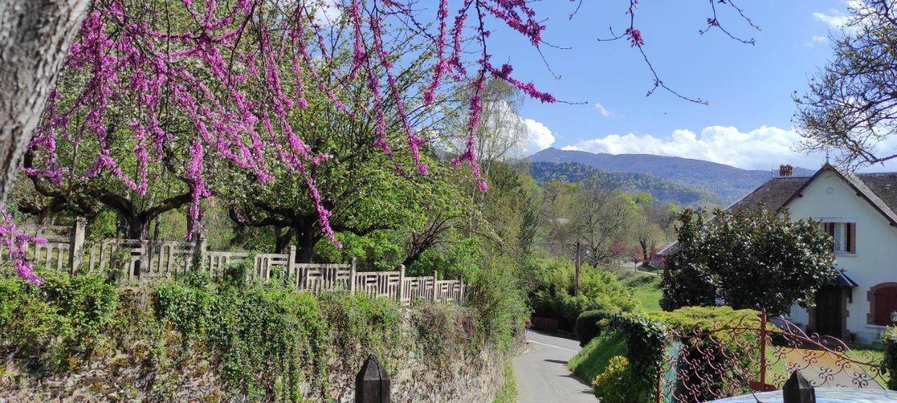 Maison Au Pied De La Montagne Aspet 외부 사진